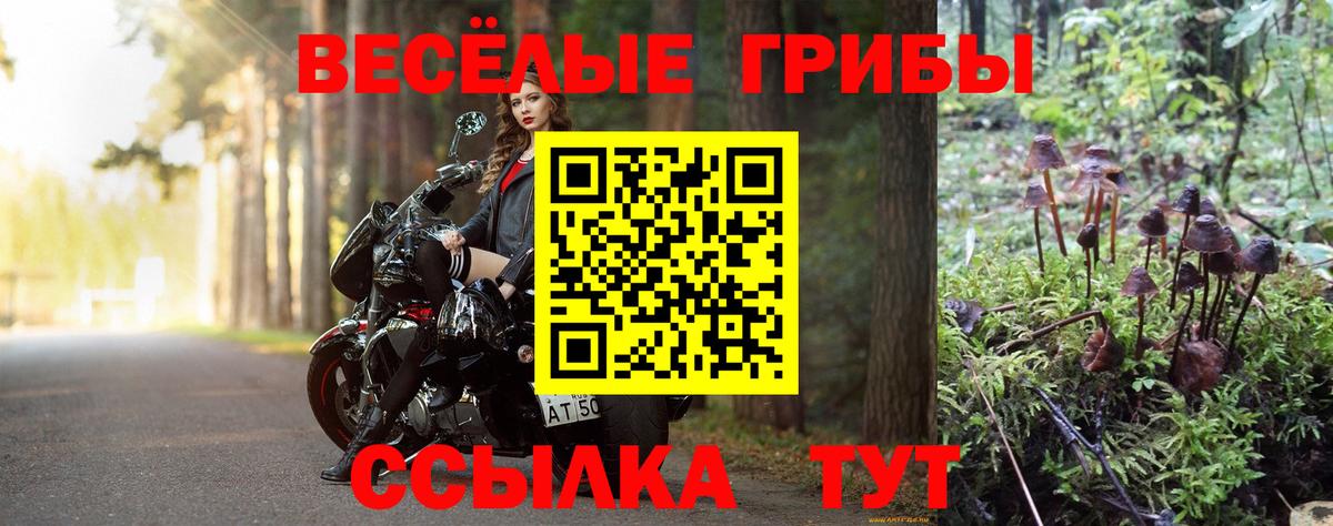 Галлюциногенные грибы Cubensis Вичуга
